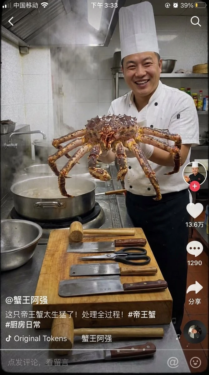 Fake TikTok Screenshot